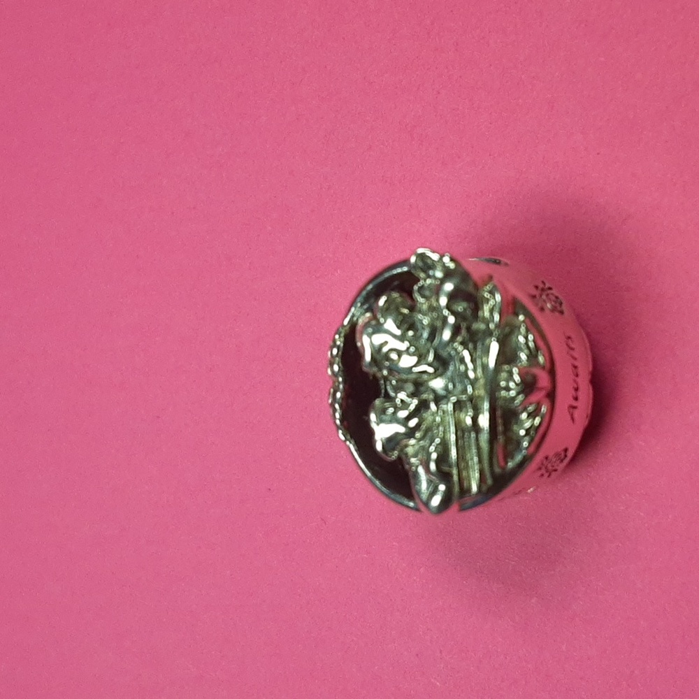 Pandora Beauty and the Beast charm